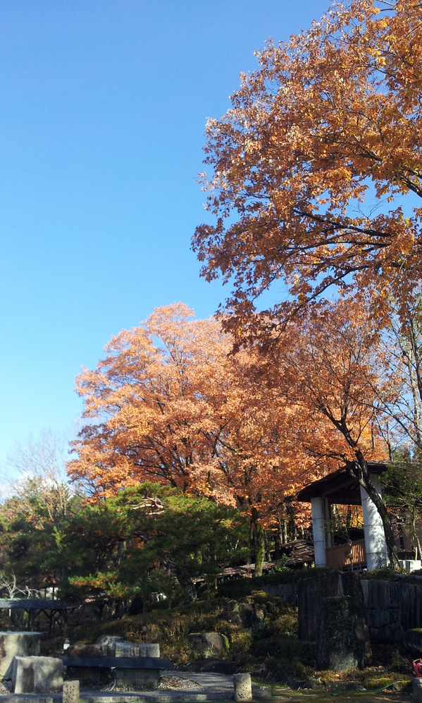 2014-11-27 10.58.52.jpg