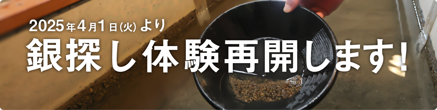 銀探し再開します！