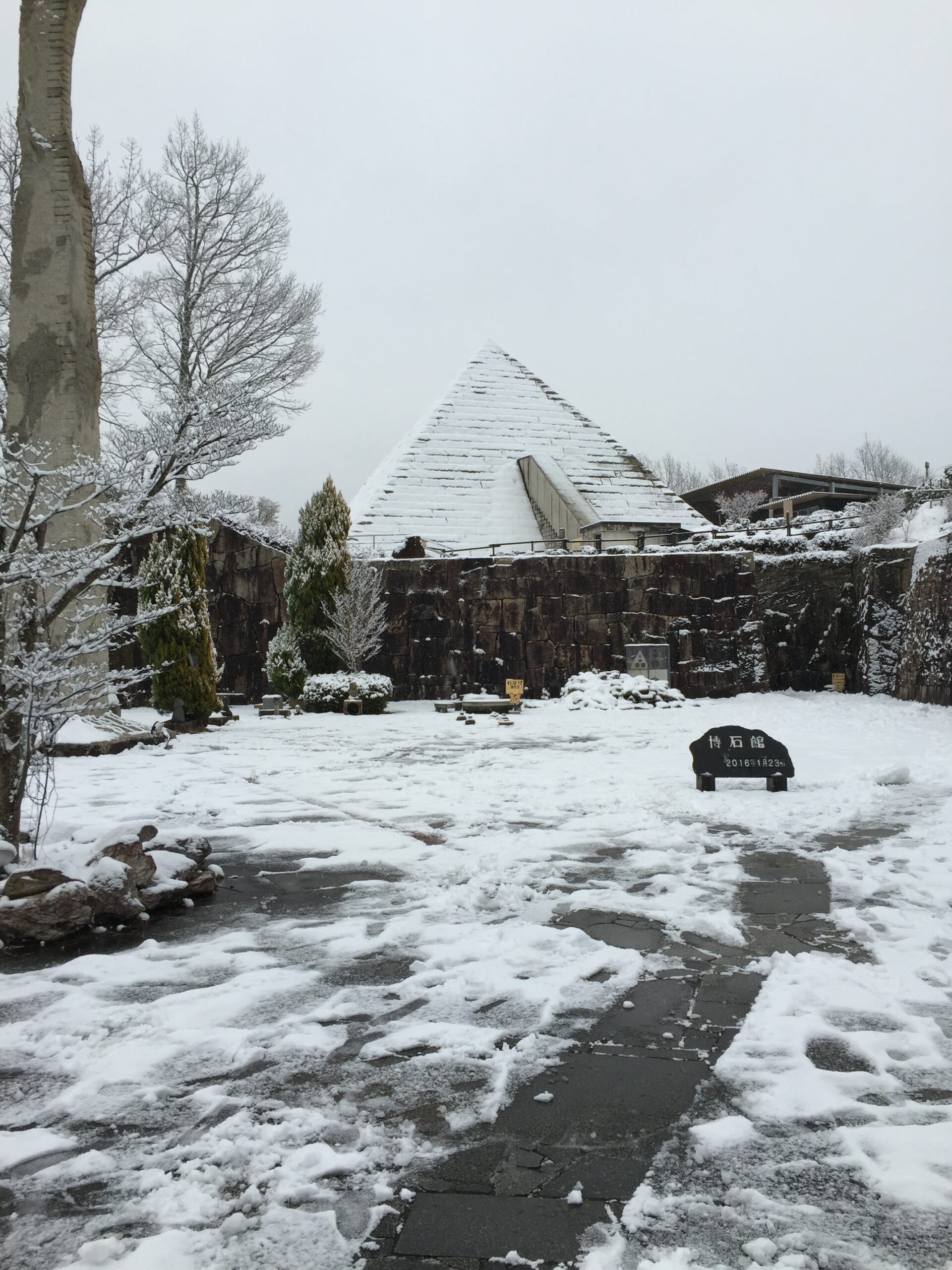 １月２３日(土) 午後、雪が降りました