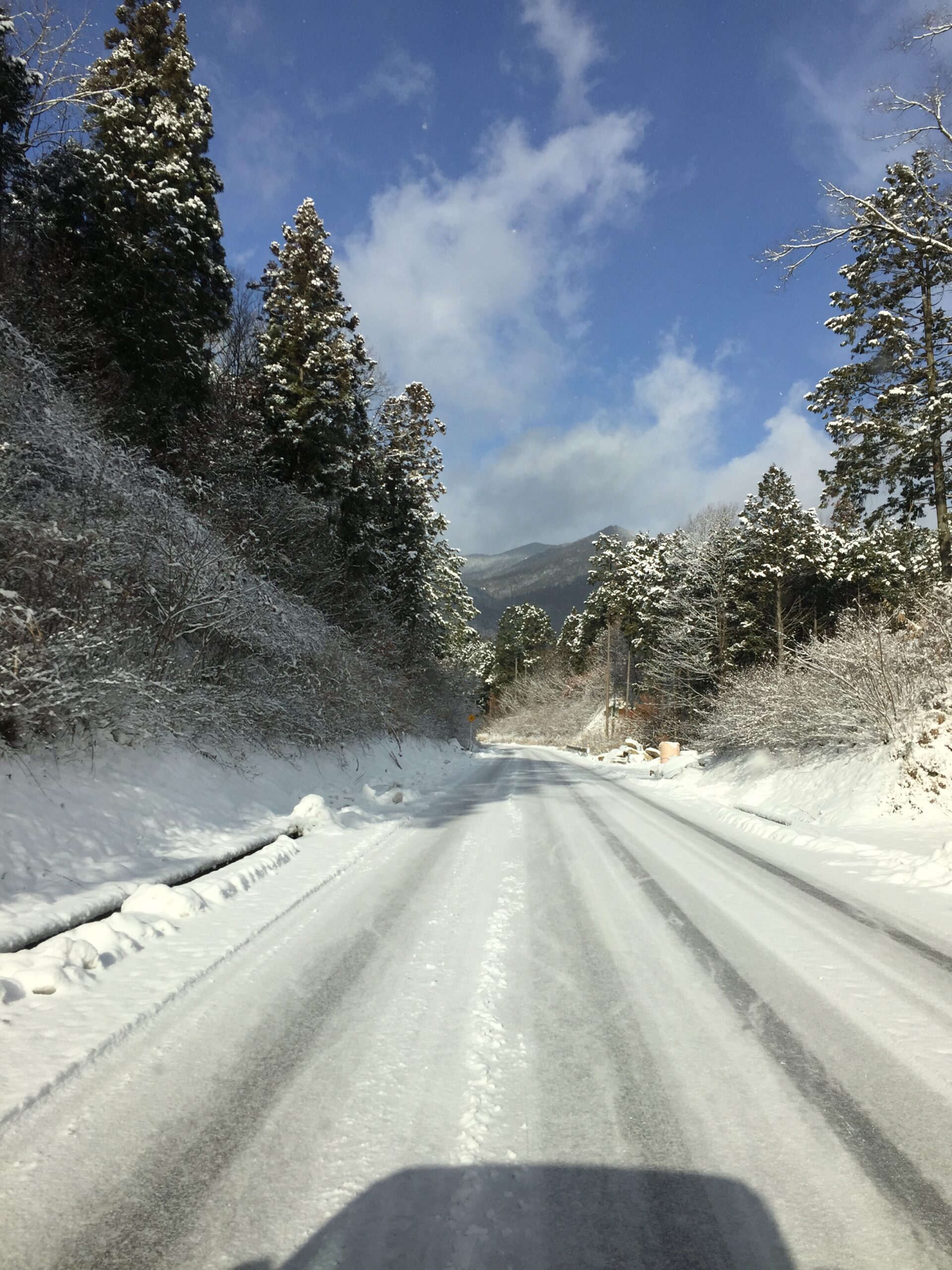 (１月２４日) 早朝の通勤路