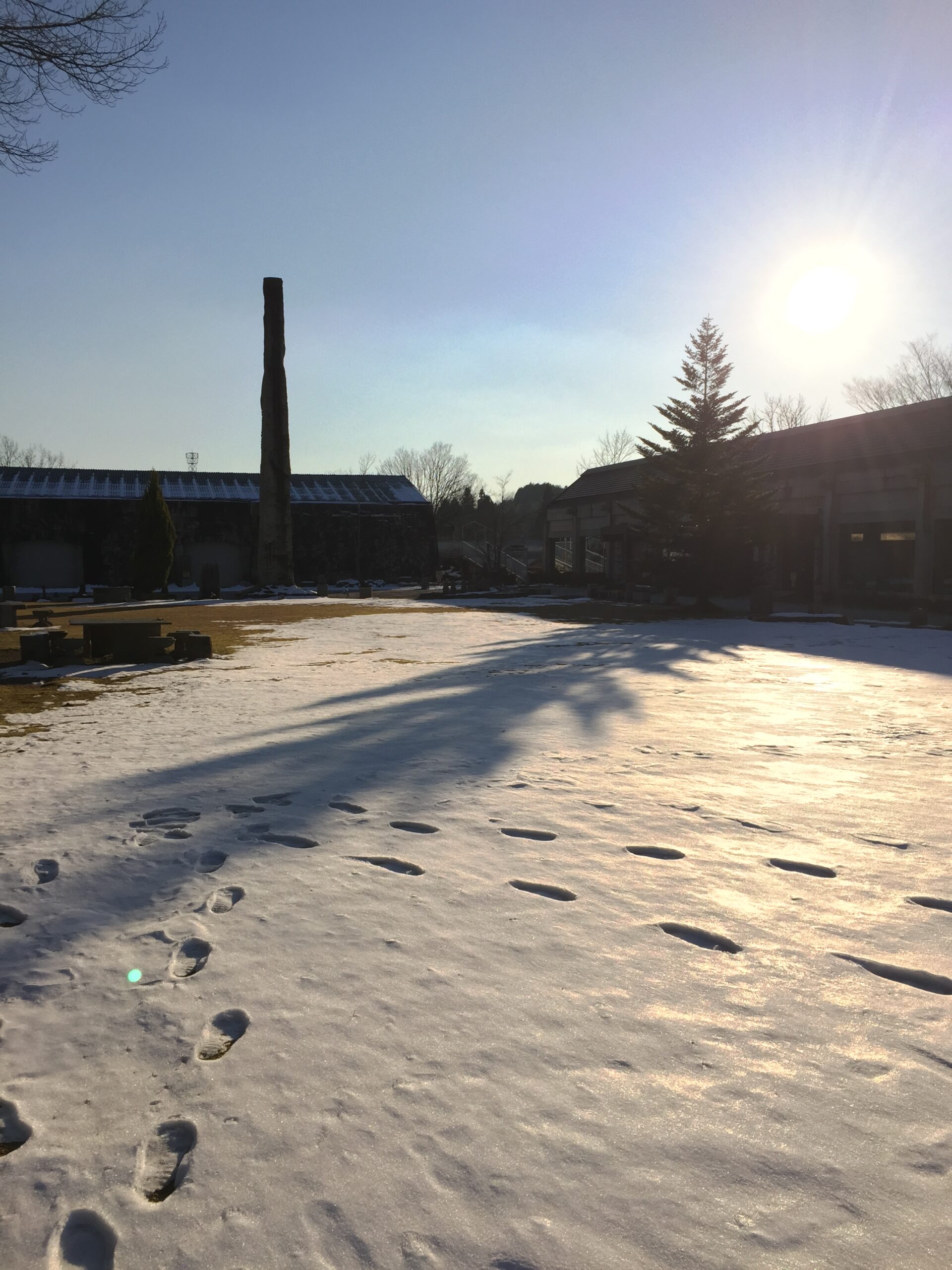 雪融けが進みました