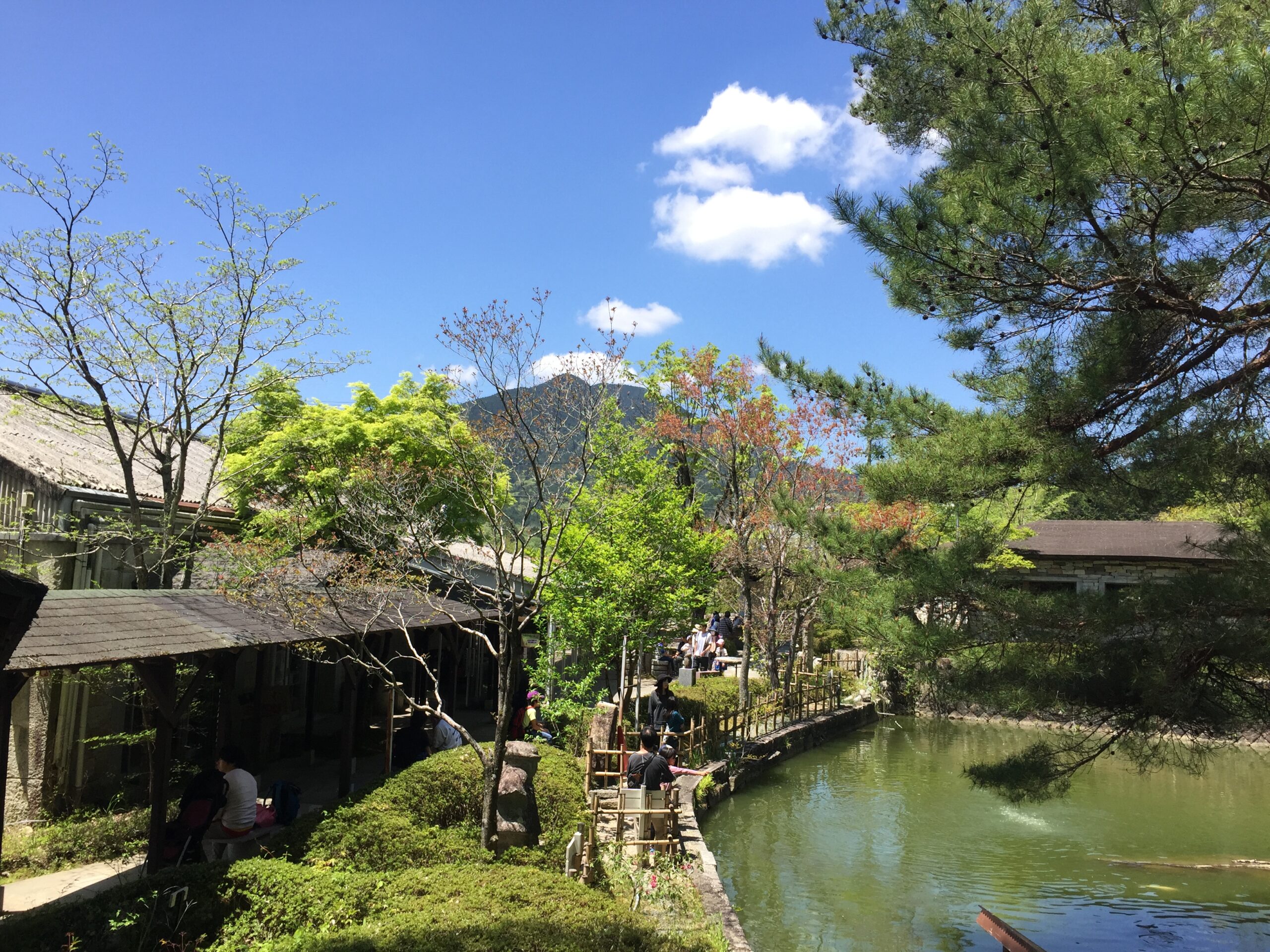 立夏を過ぎ 深い新緑へ