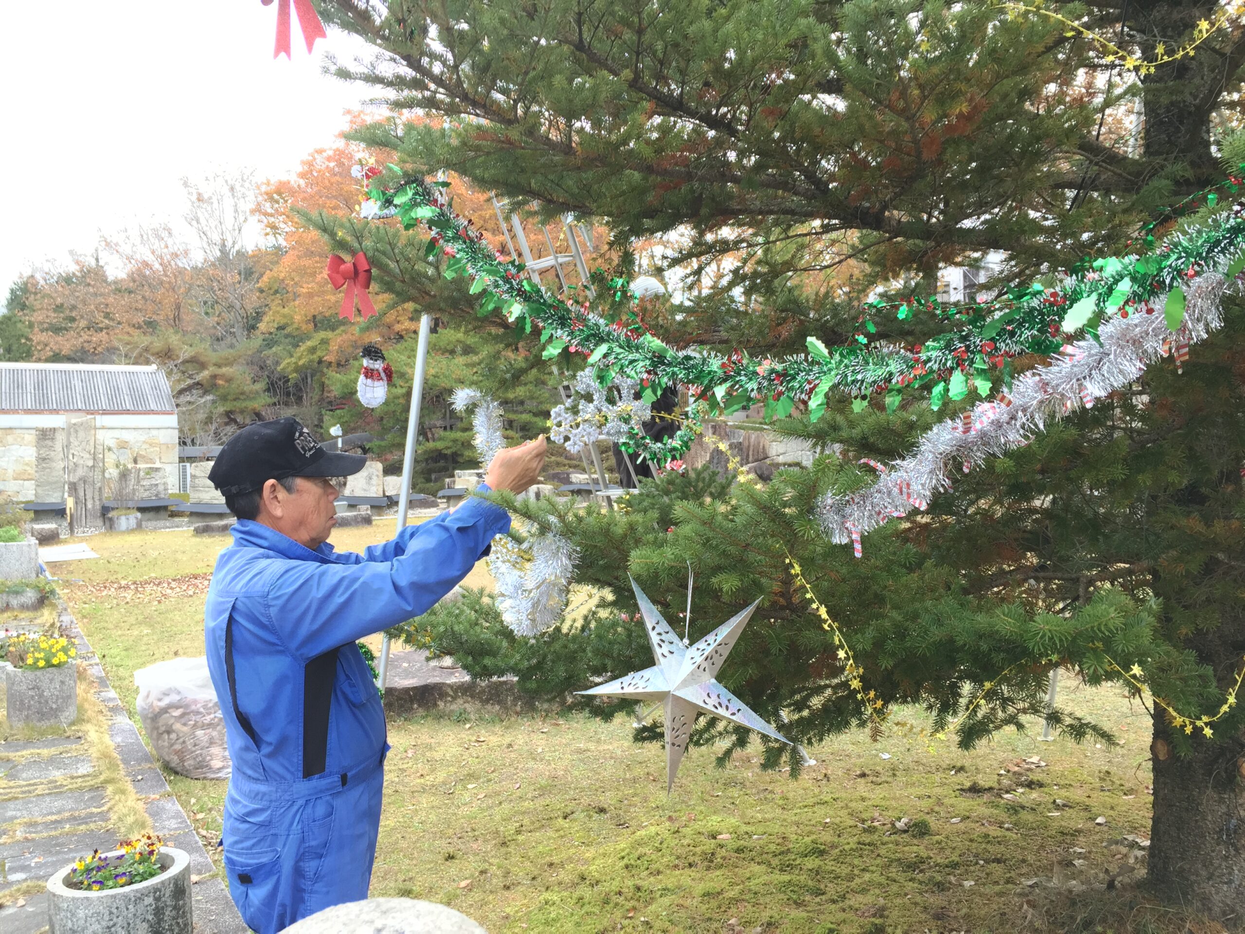 クリスマスツリー