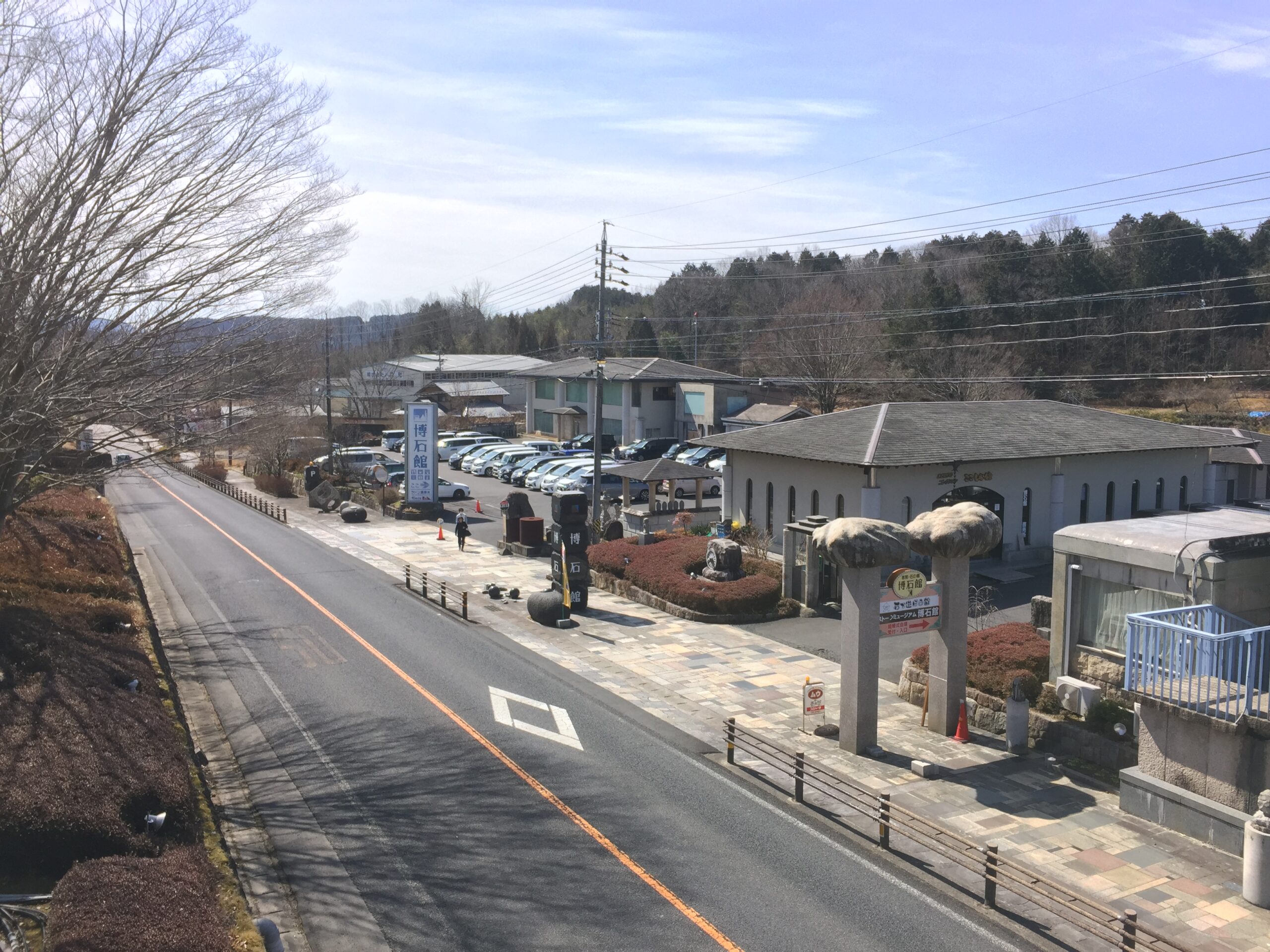 ３月  暖かな晴天！