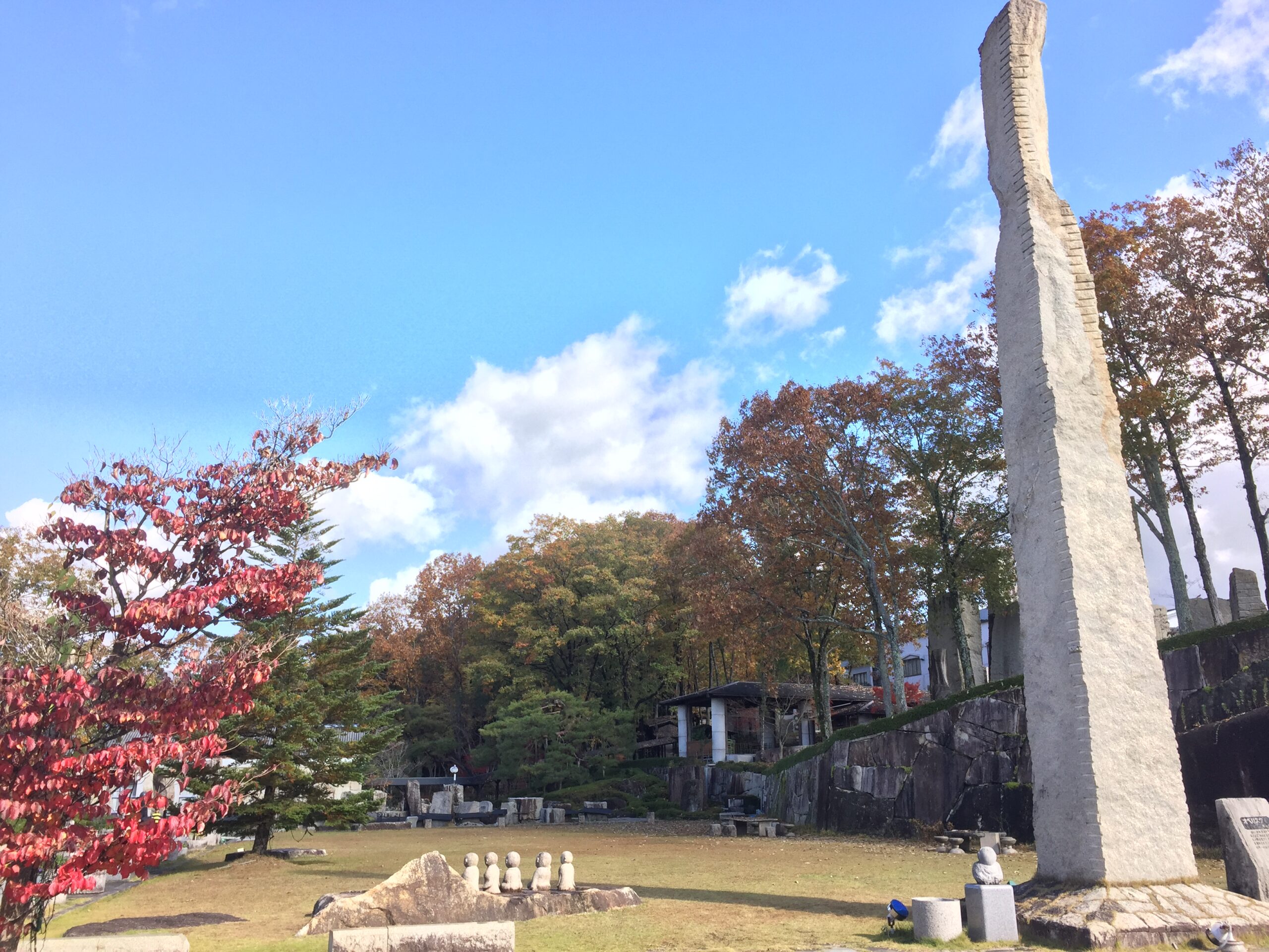 (11月10日) 紅葉のようす