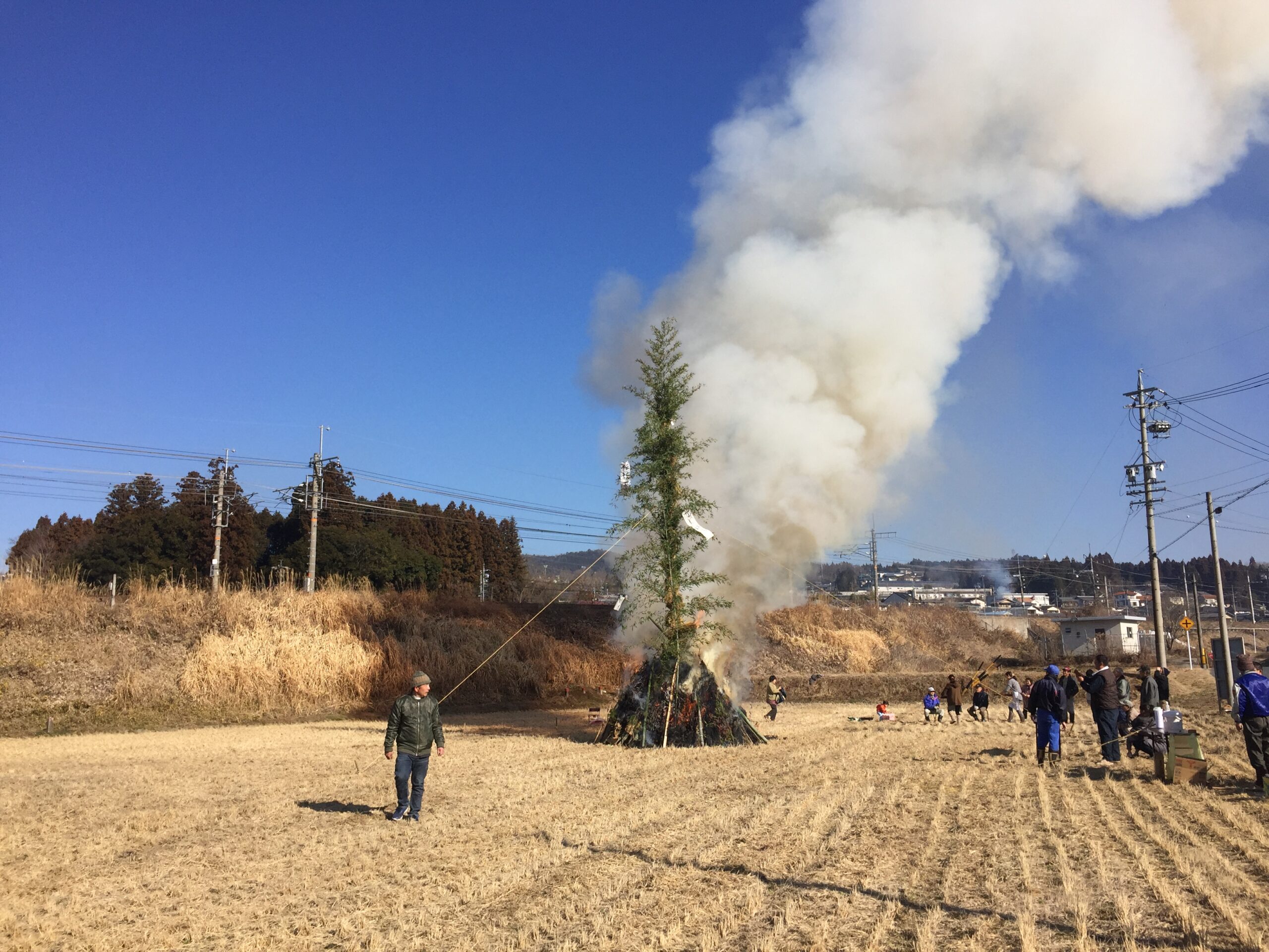 ご成人おめでとうございます！