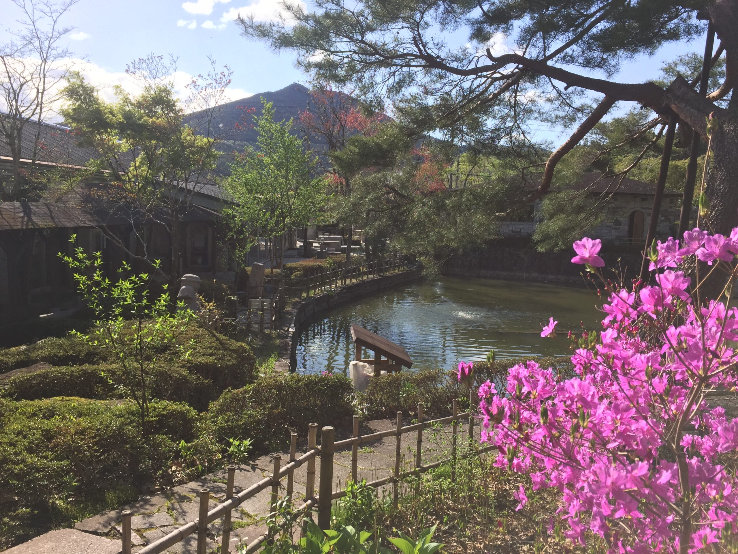 (池の周囲の建物に) 恐竜のうんちの化石！？