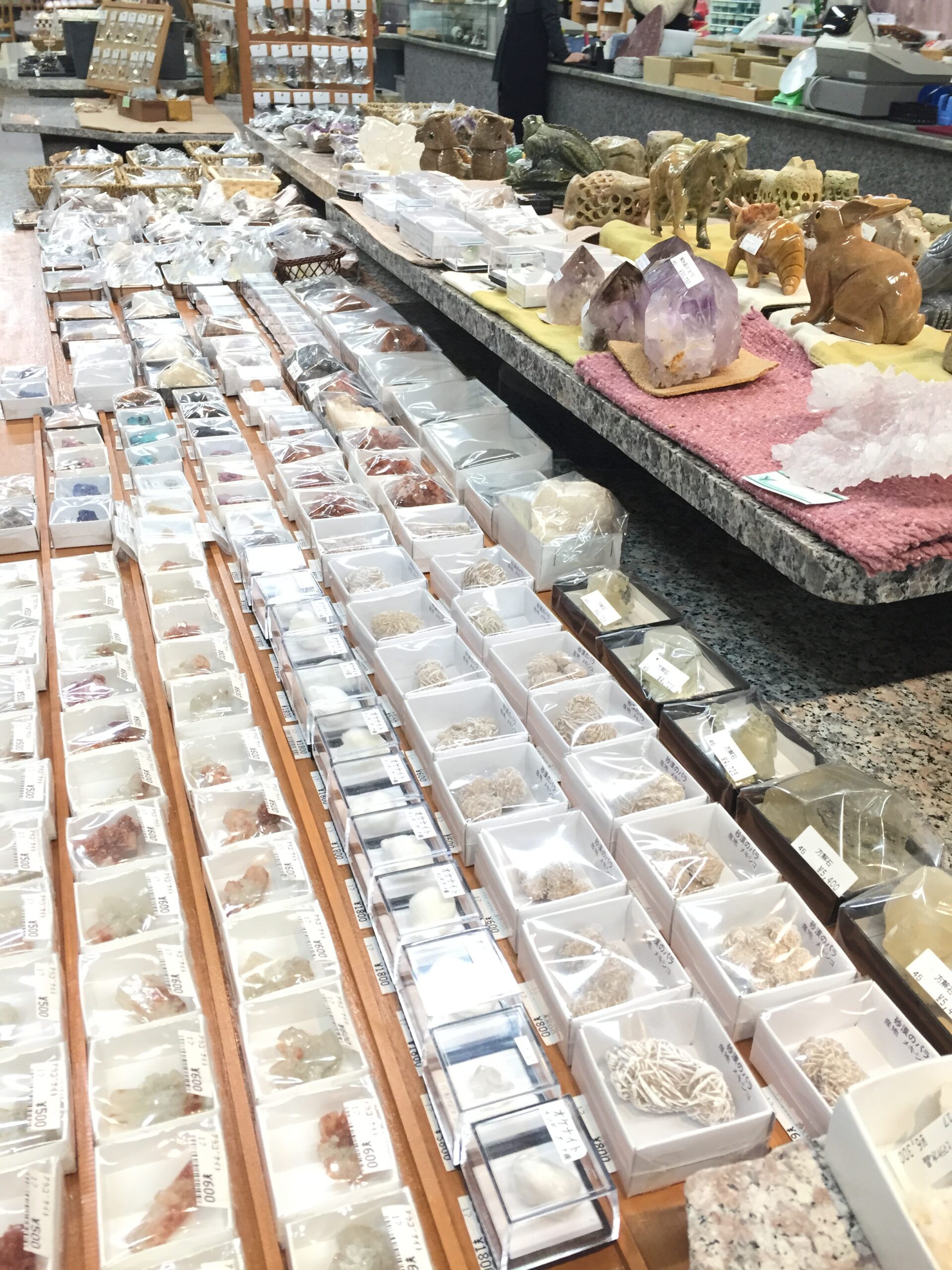 (ﾐｭｰｼﾞｱﾑｼｮｯﾌﾟ 石の売店)  めずらしい鉱物・宝石・化石 を展示 販売