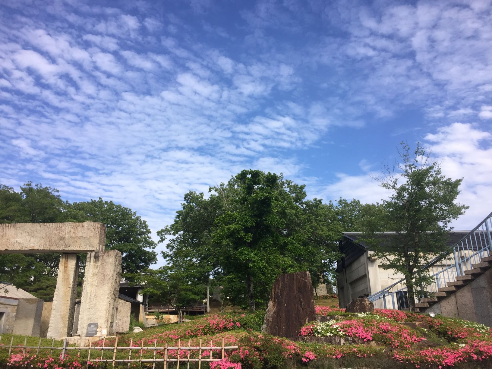 ｢さつき｣ 今年も咲いてくれました